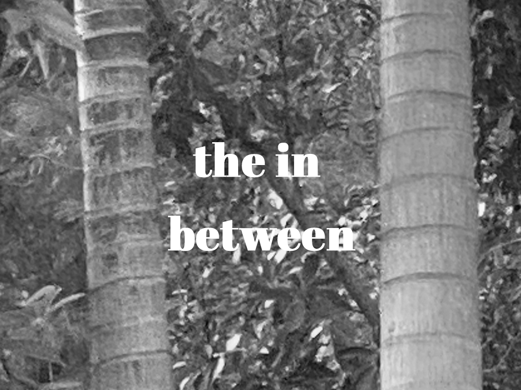 theinbetween